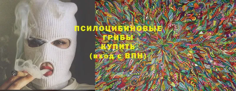 Псилоцибиновые грибы ЛСД  Кириши 